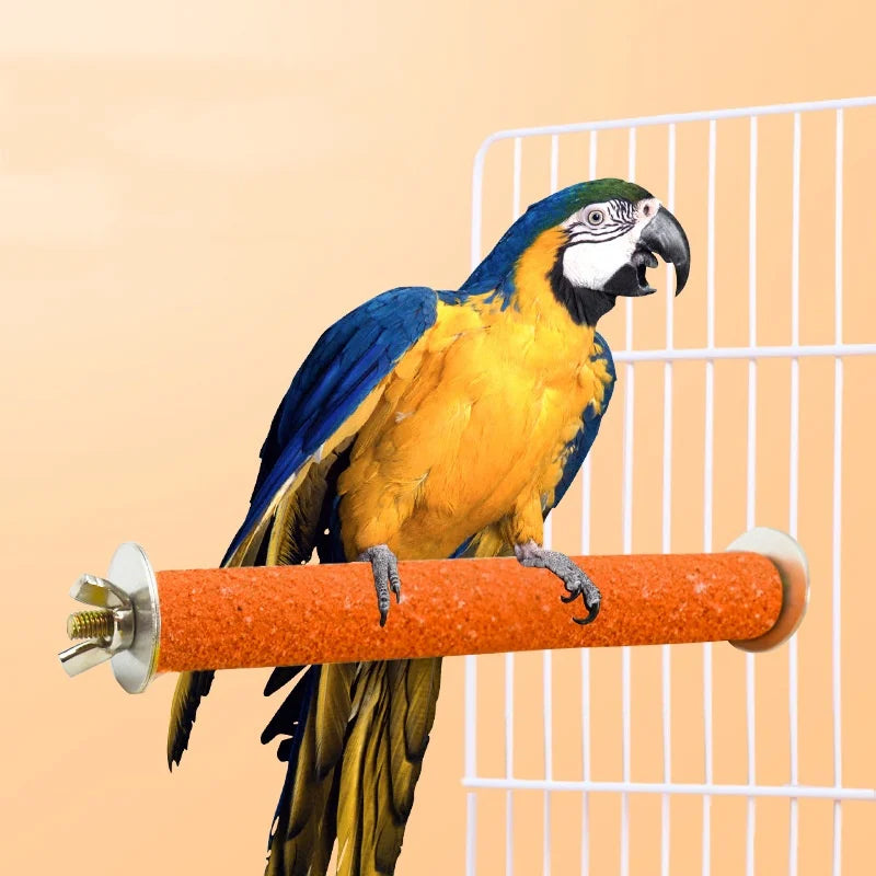 Kloslipande Sitt- Klätterpinne i Trä för Fågel och Råtta