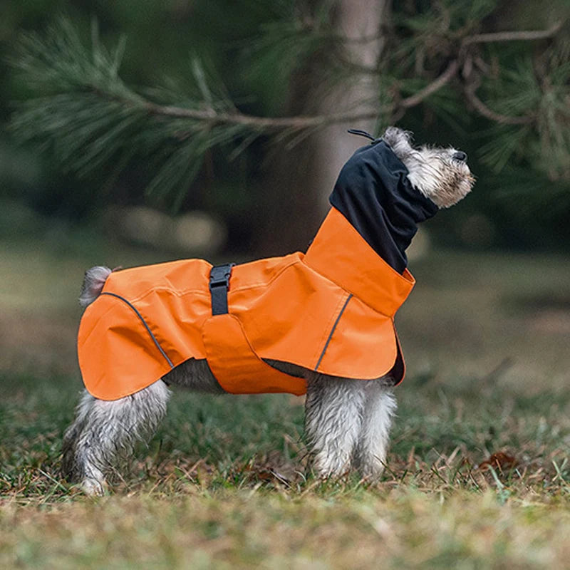 Vattentätt Regnskydd för Små Hundar – Reflex och Huva