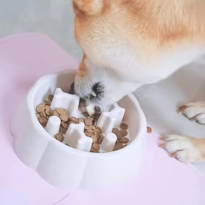 Slow Feeder Skål för Katt och Hund – Anti-Kvävning Design