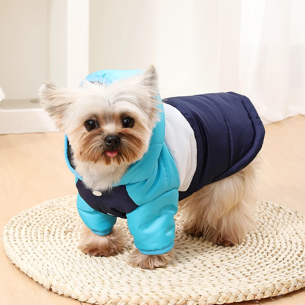 Varm Vindtät Hundjacka med Fleece och D-ring – Små Hundar & Katter