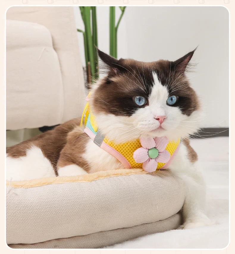 Andasvänlig Hund- och Kattssele med Reflex – Justerbar Meshväst med Koppel för Små och Medelstora Djur