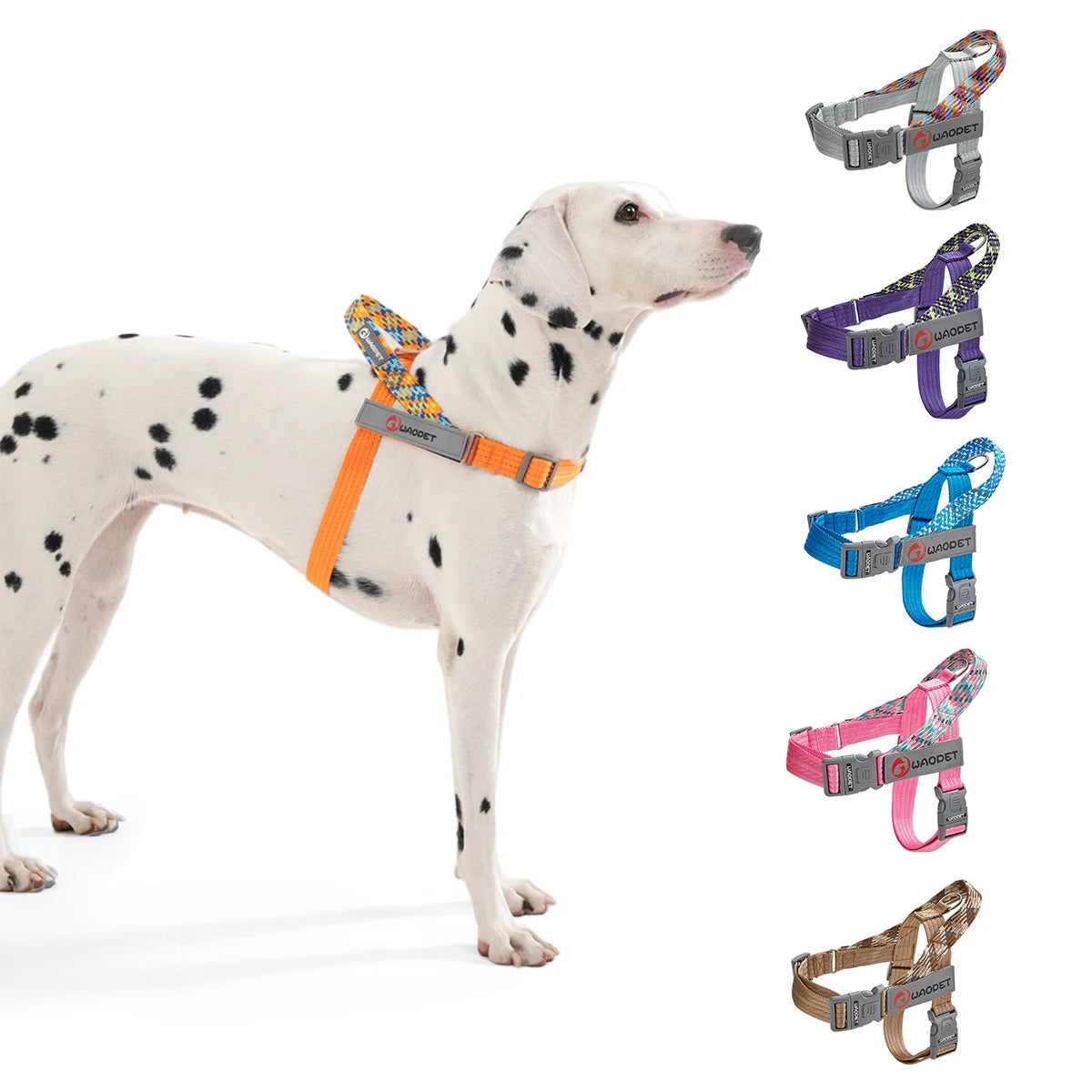 Reflekterande Hundsele i Slitstark Nylon – Jämnt Fördelat Tryck över Bröstet