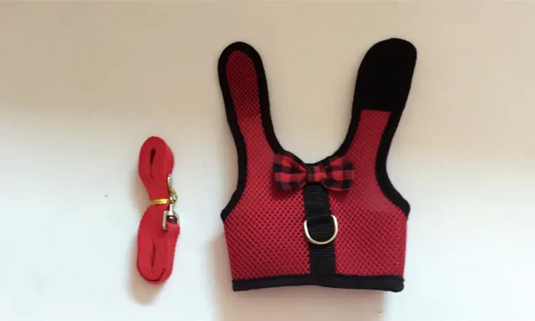 Sele och Koppel för Smådjur – Bekvämt och Justerbart Set