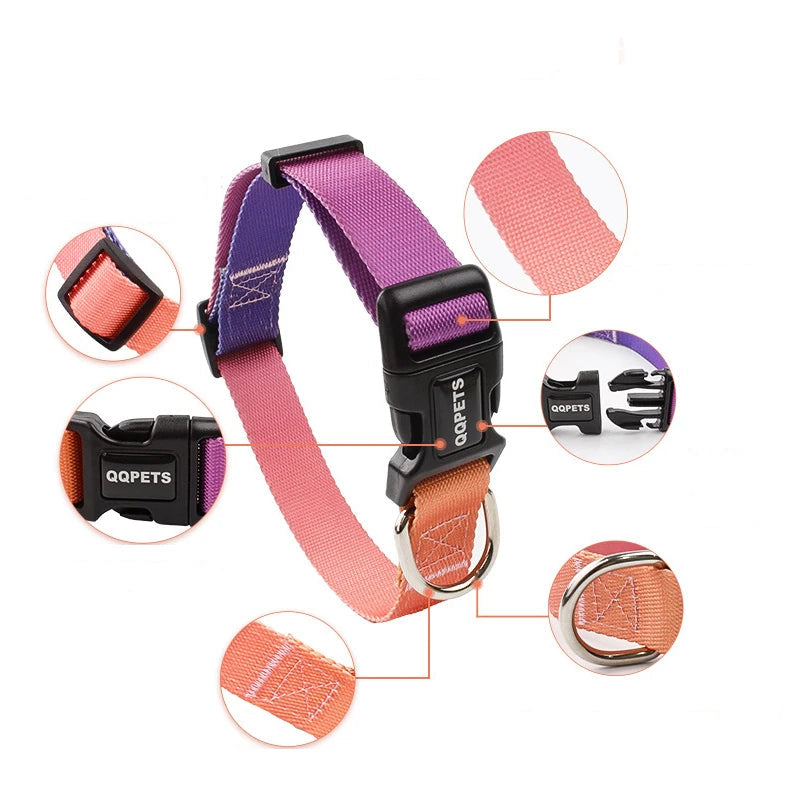 Färgglatt Hundkoppel & Halsband – Justerbart Nylonsset