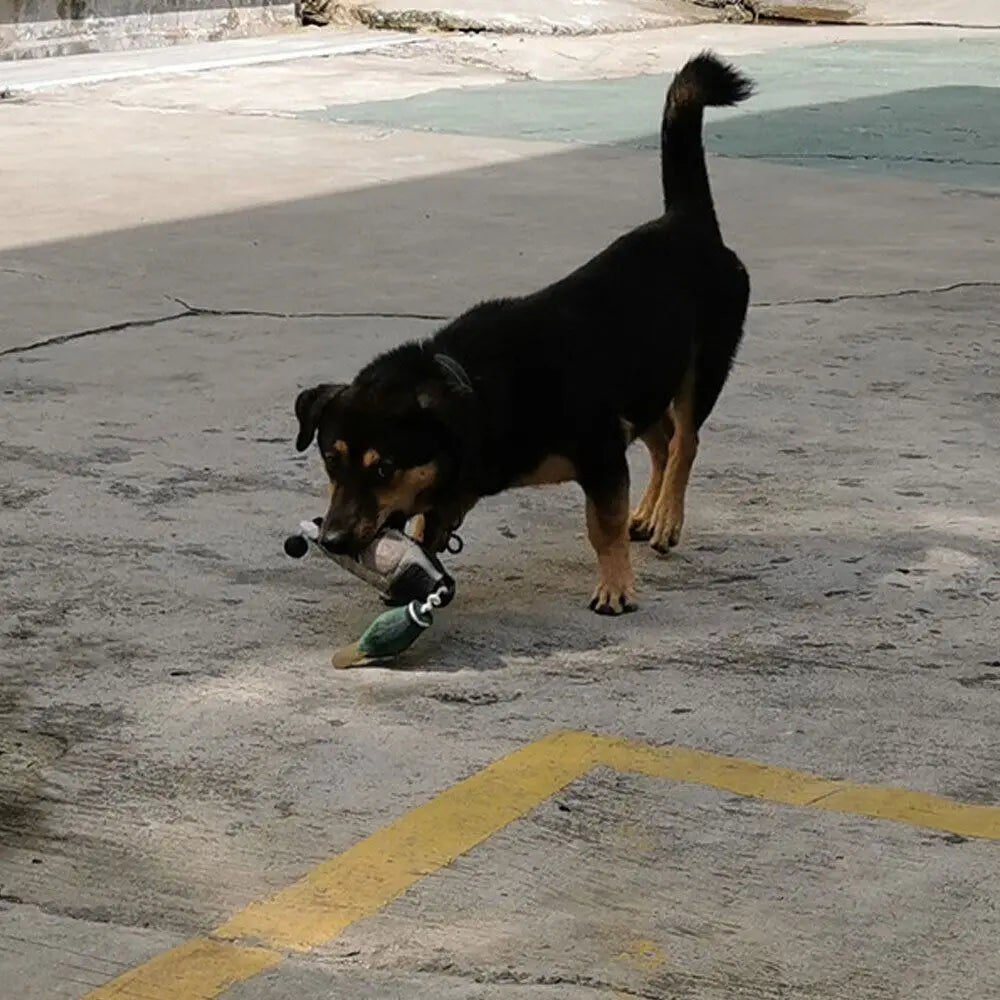Hundträningsleksak i Form av Fågel – Flytande och Bit­tålig Apportleksak