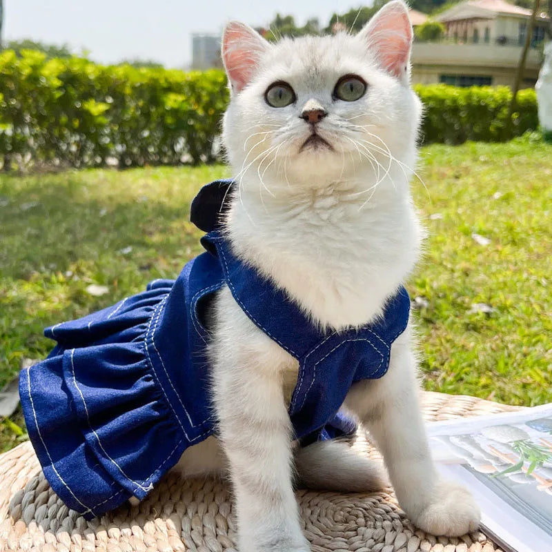 Jeansklänning med Rosett och Sele för Hund och Katt