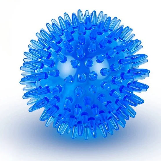 tuggleksak hund färgglad boll ljud tandrensning