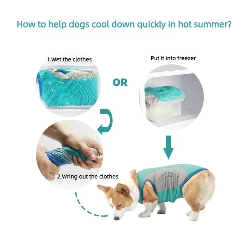 Sommarkylväst för Hund med Reflex och Snabbtorkande Tyg