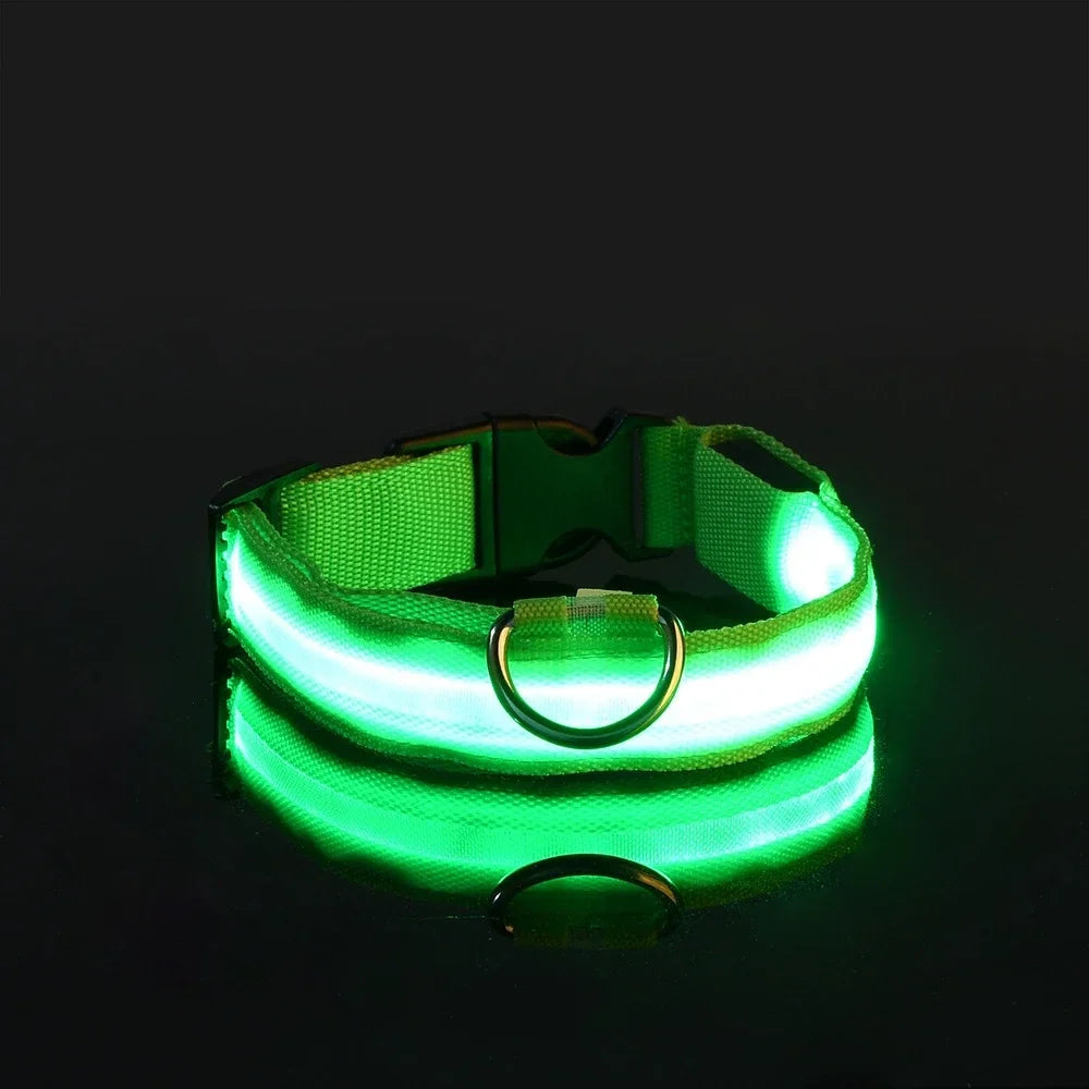 LED Dog Collar – Luminous Nylon Night Safety Collar for Pets