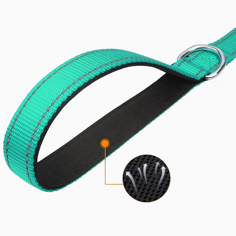 Reflekterande Koppel för Hund & Katt – Slitstarkt Polyester för Promenad & Träning