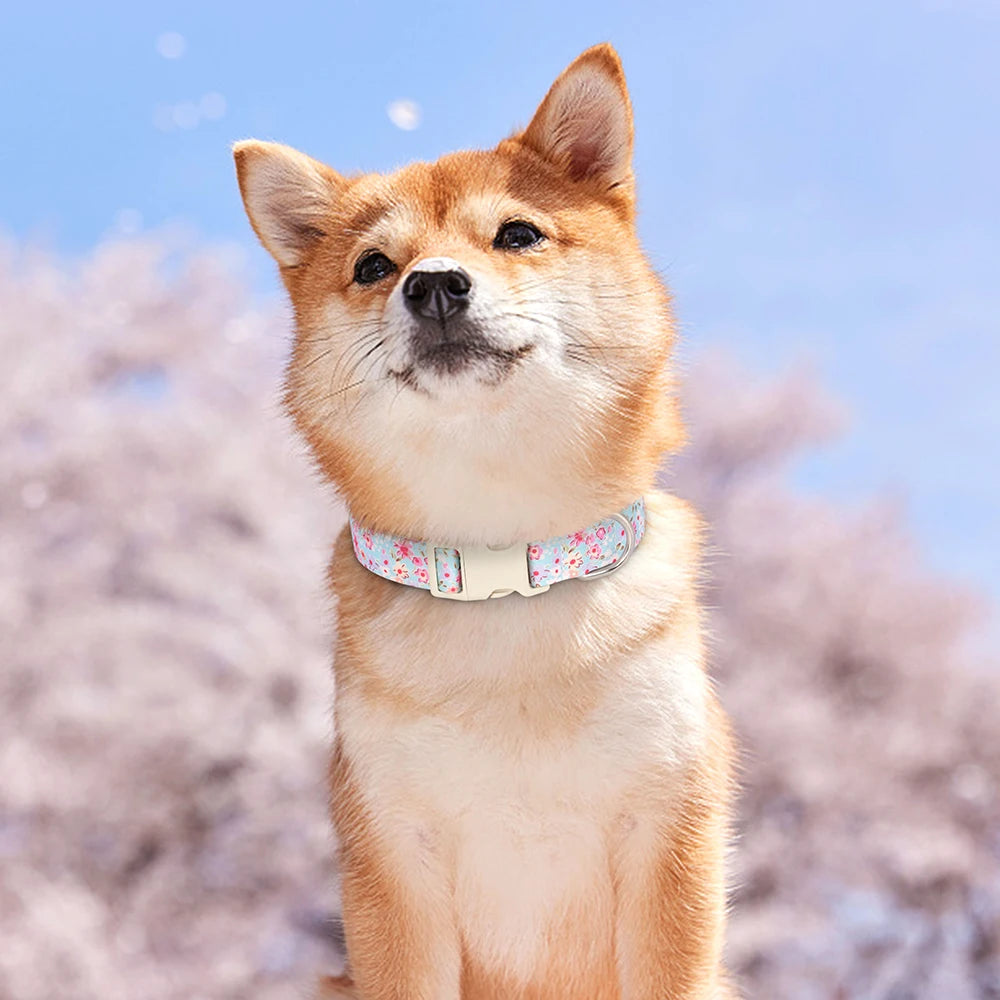 Justerbart Nylonhalsband för Hund – Söt Design med Blommor