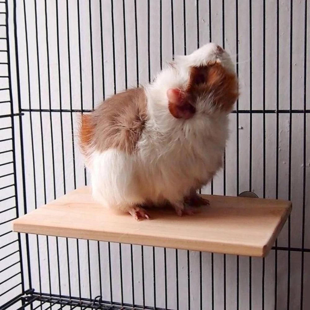 Träplattform för Smådjur och Fåglar – Naturlig Sitt- och Lekplats