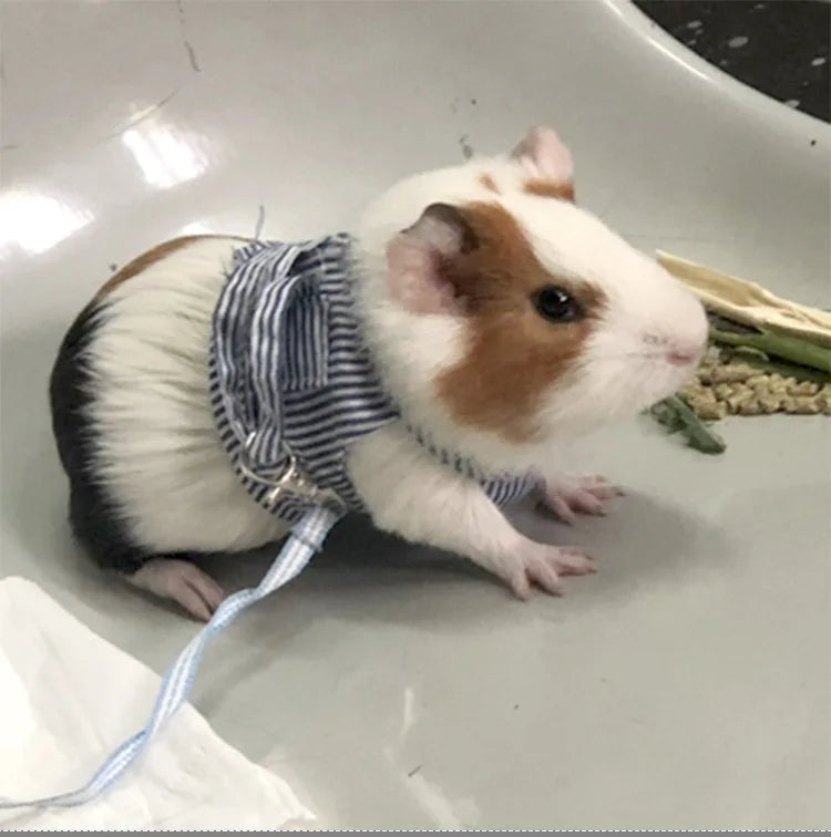 Sele och Koppel för Smådjur – Justerbar Väst för Trygg Promenad