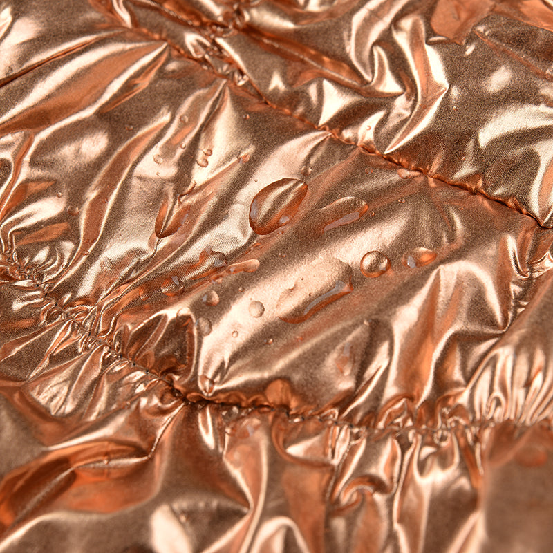 Vattentät och Varm Vinterjacka för Små Hundar och Katter – Fleecefodrad Väst