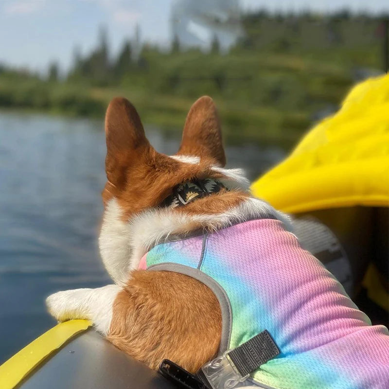 sommarväst snabb kyla hund regnbågsfärgad andningsbar väst