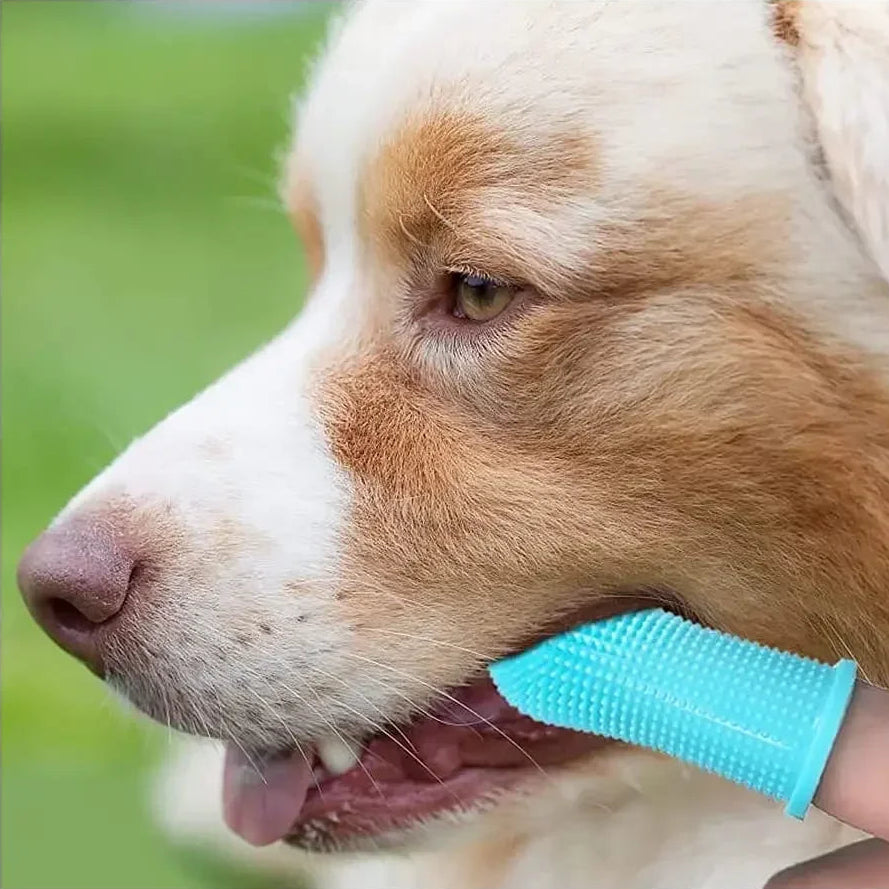 Silikon Finger-Tandborste för Hund & Katt – Skonsam Munvård för Små Husdjur