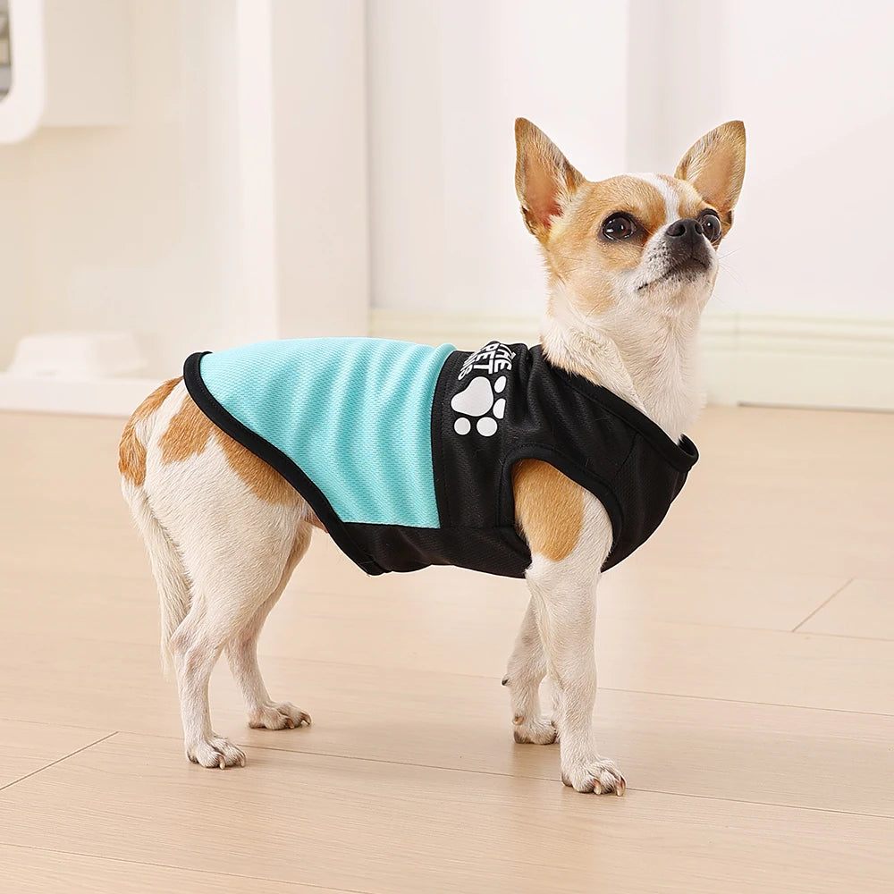 UV-Skyddande Sommartröja för Hund och Katt – Andningsbar T-shirt med Tassmönster