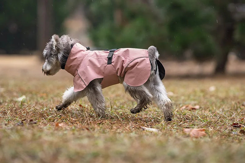 Vattentätt Regnskydd för Små Hundar – Reflex och Huva