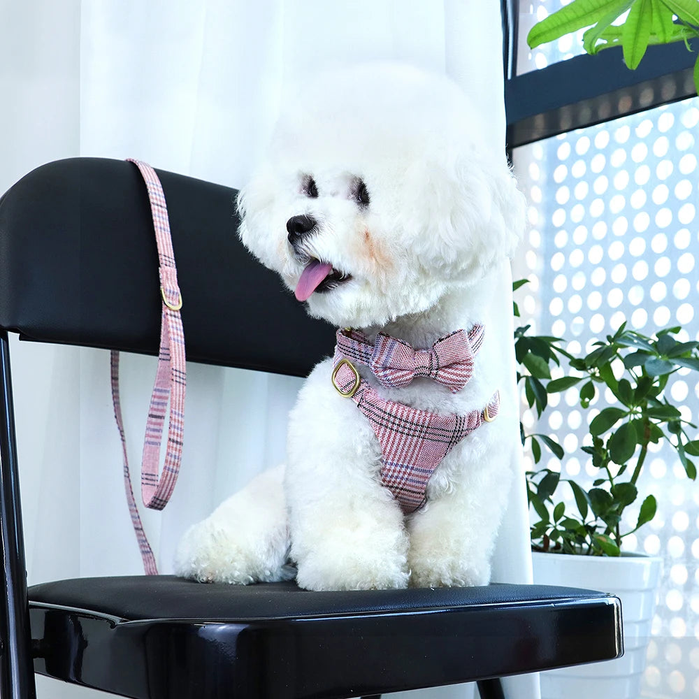 Hundsele med Rosett & Koppel – Justerbart & Mjukt Set för Små till Medelstora Hundar