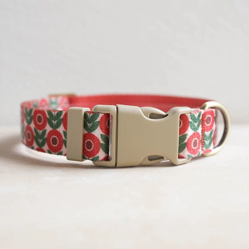 Hundhalsband i Nylon – Justerbart och Slitstarkt