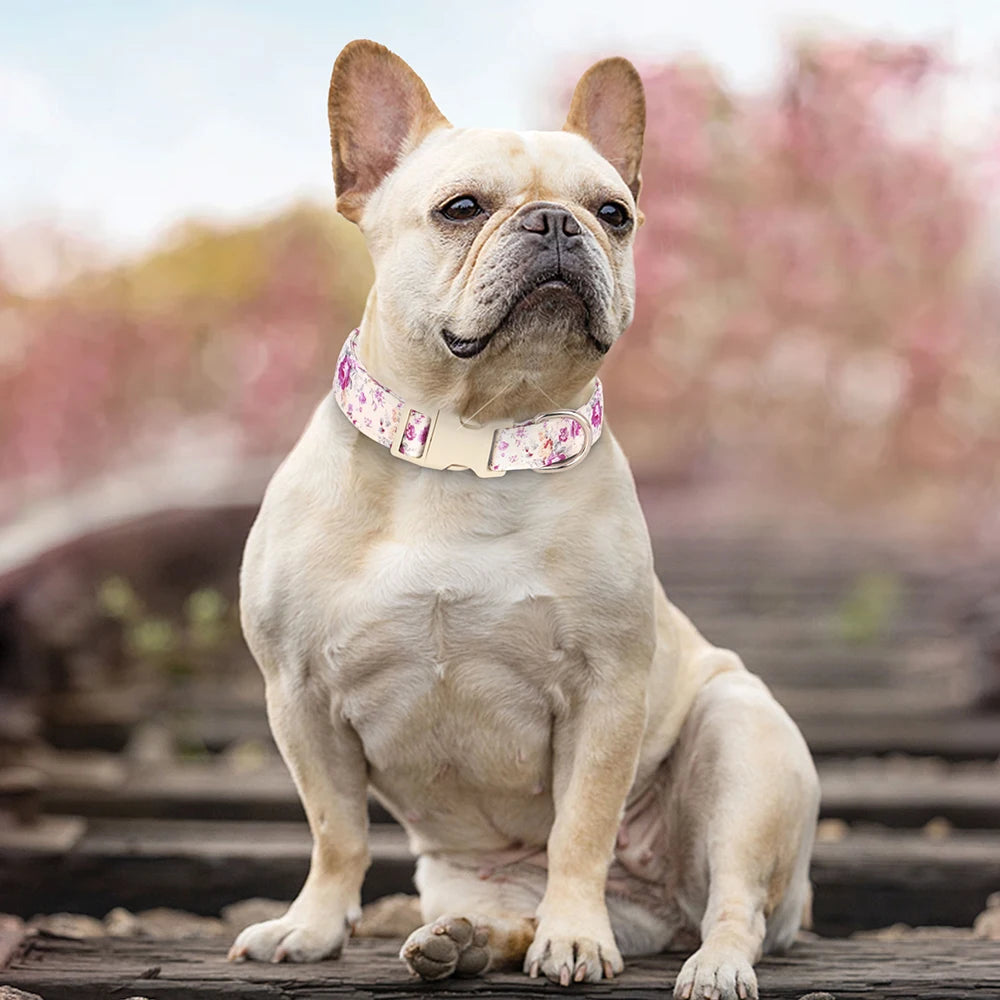 Justerbart Nylonhalsband för Hund – Söt Design med Blommor