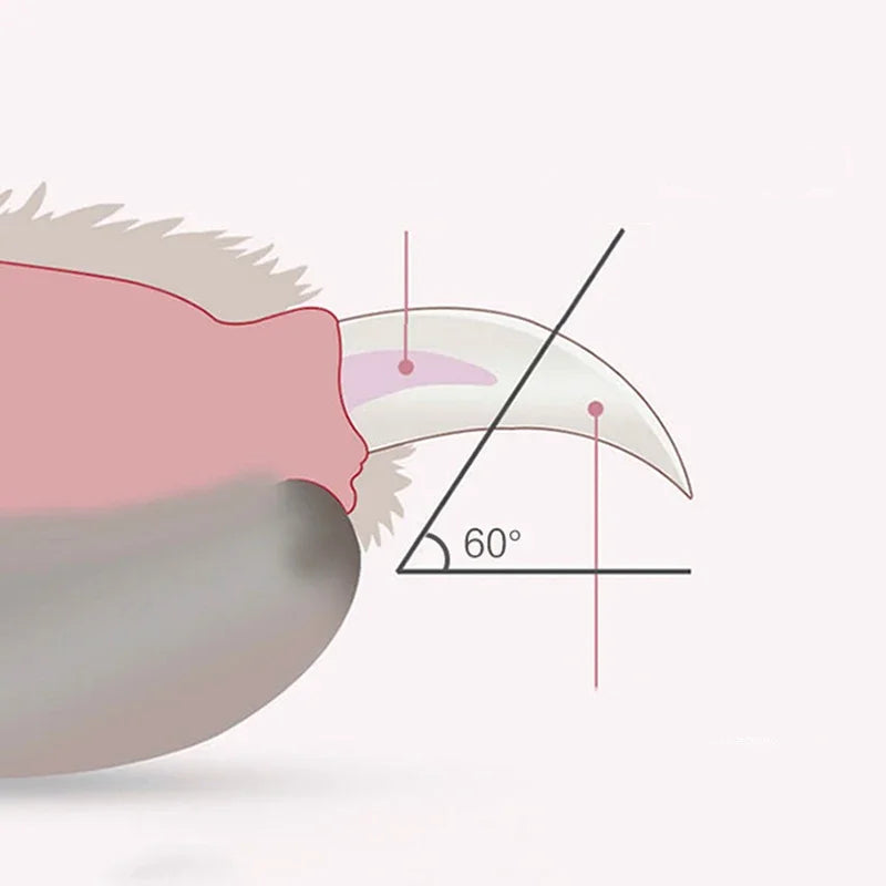 Kloklippare med LED-ljus – Säker & Exakt Nagelklippare för Hund, Katt & Smådjur