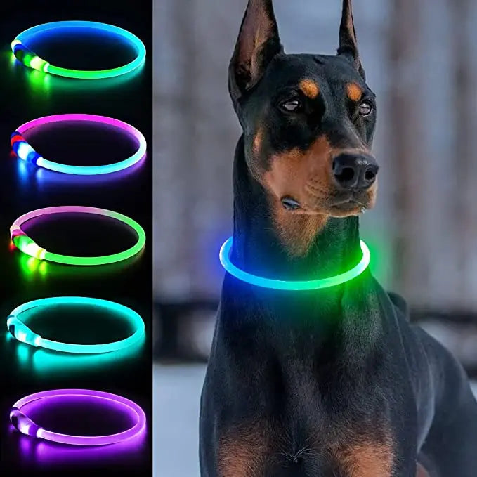 LED Hundhalsband i PVC – Vattentätt, Uppladdningsbart och Synligt i Mörker