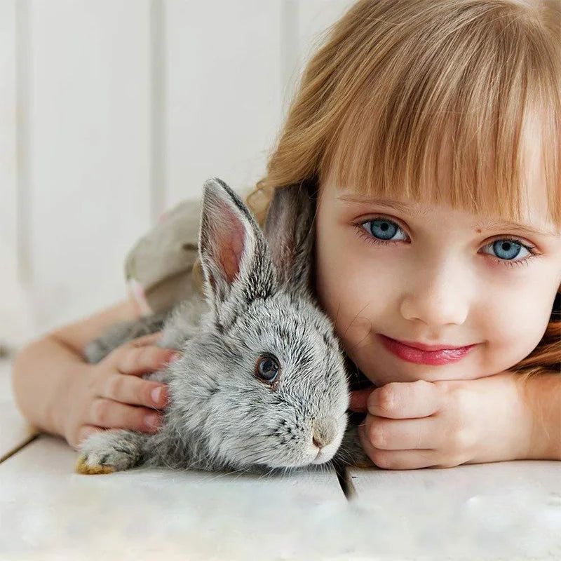 Groomingborste för Kanin och Smådjur med Halkfritt Handtag