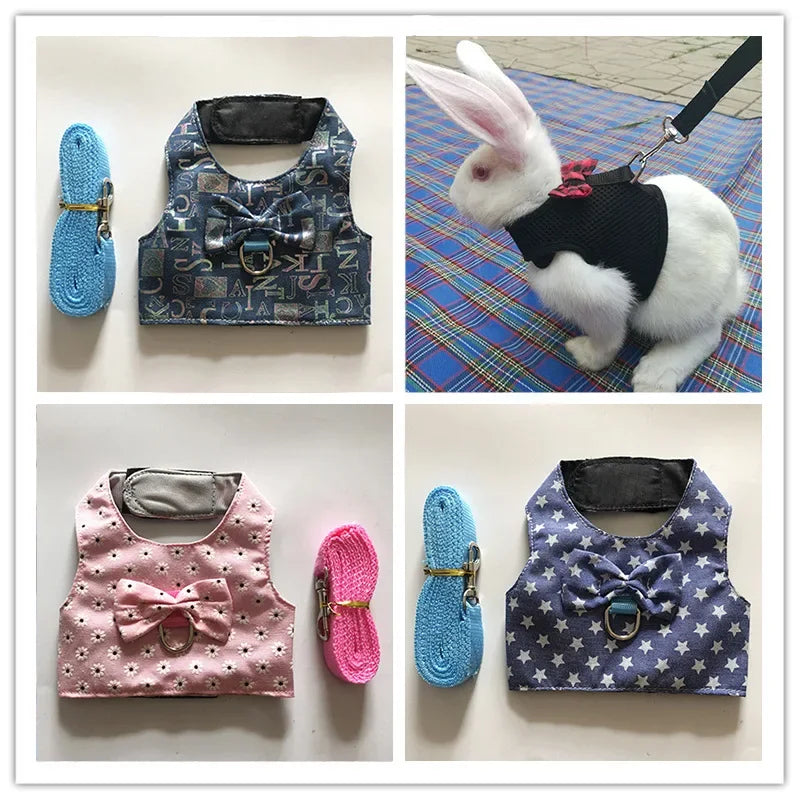 Sele och Koppel för Smådjur – Bekvämt och Justerbart Set