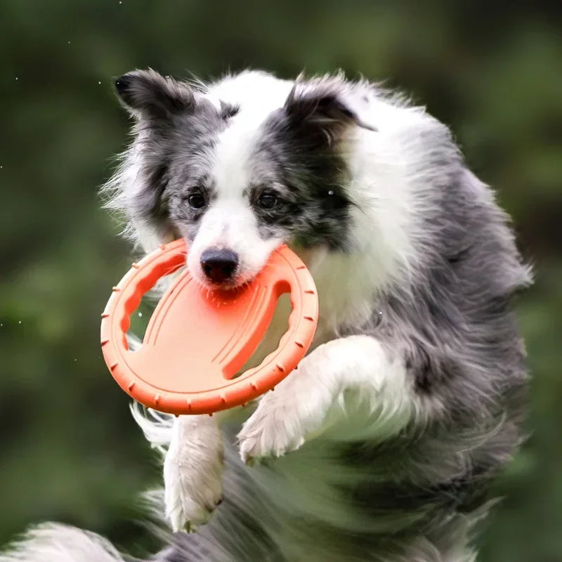 Flygande Frisbee-Ring för Hund – Interaktiv Lek och Träning