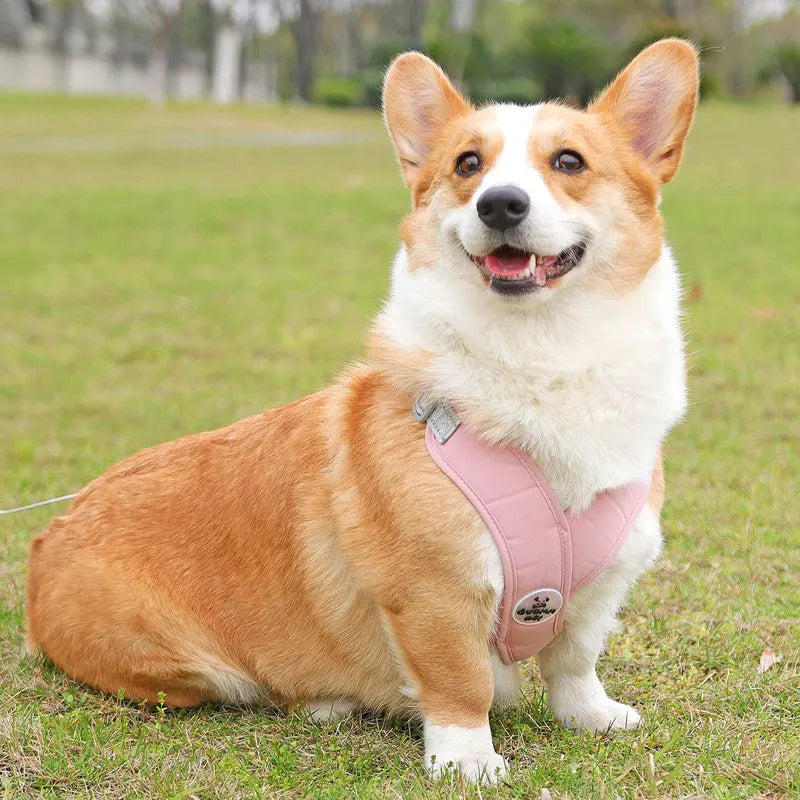 Reflekterande Sele med Koppel för Hund – Justerbar och Andningsbar