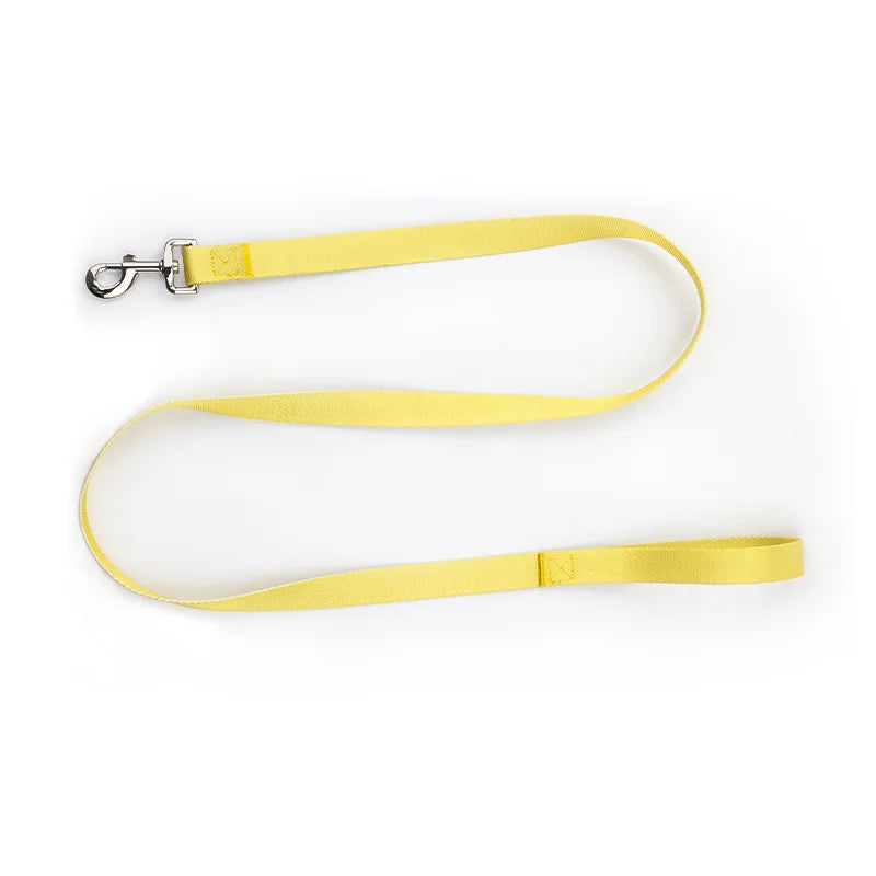 Färgglatt Hundkoppel & Halsband – Justerbart Nylonsset