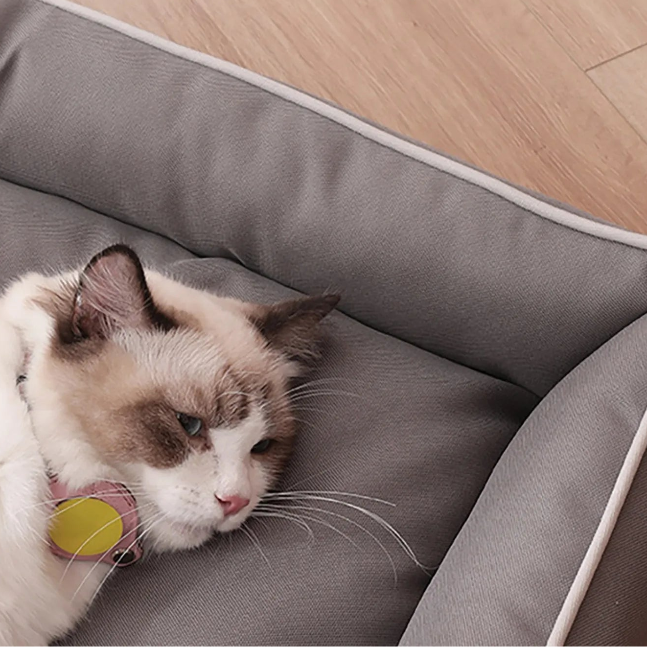 Vattentät och Bitresistent Hundbädd – Slitstark Komfort för Alla Säsonger