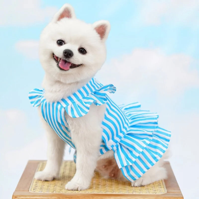 Sommarklänning för Hund och Katt – Söt Seleklänning med Prinsesskjol