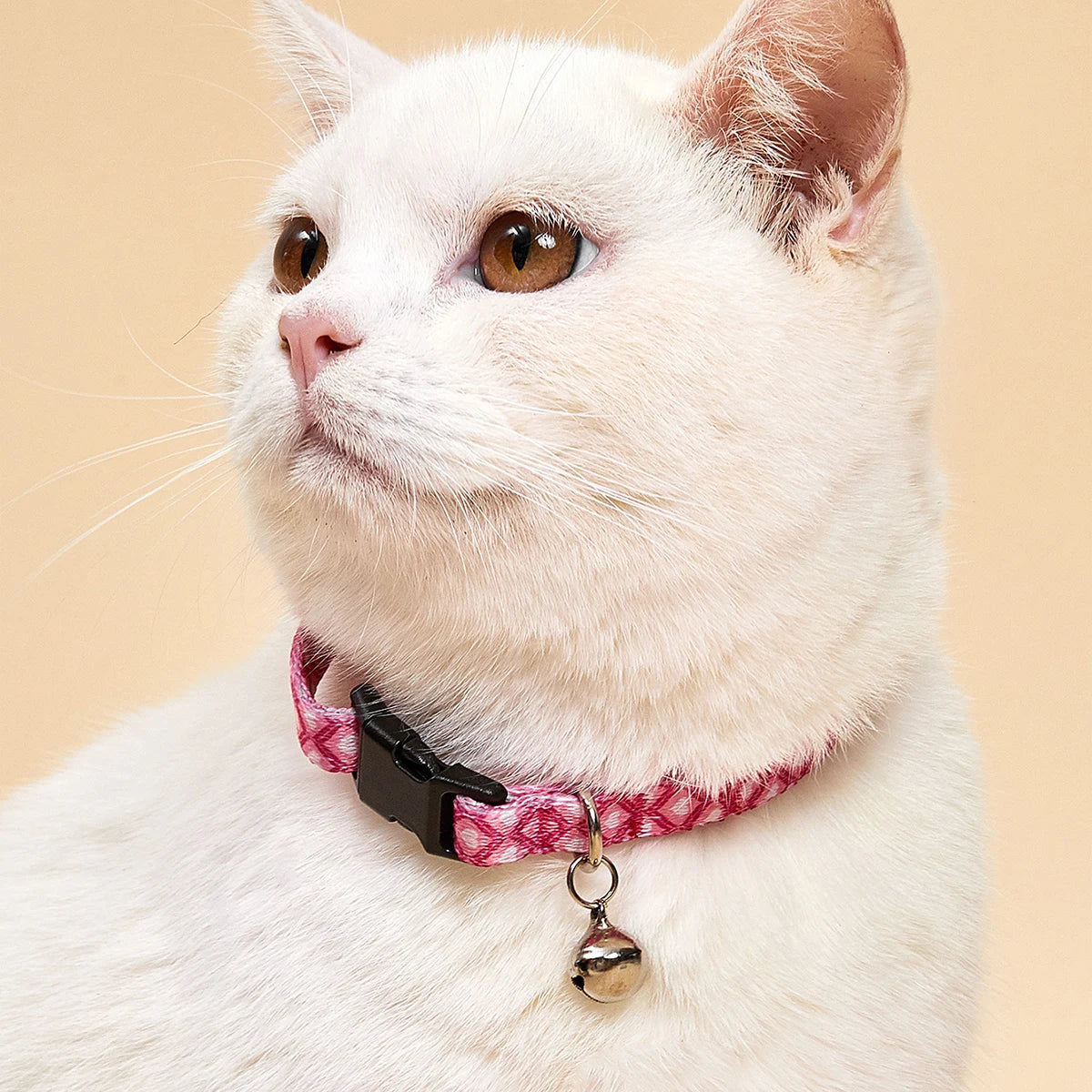 Färgglatt Justerbart Katthalsband i Slitstark Nylon med Bjällra – Lätt och Bekvämt