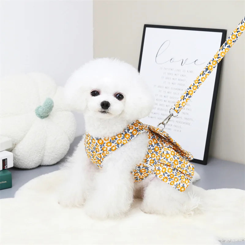 Sommarklänning för Hund och Katt med Sele och Matchande Koppel
