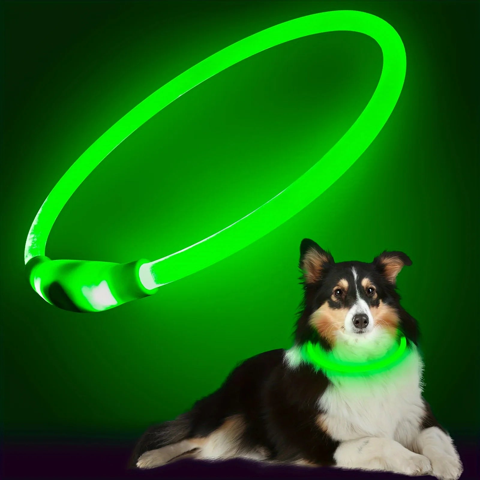 LED Hundhalsband med USB-laddning – Synlighet & Säkerhet i Mörker