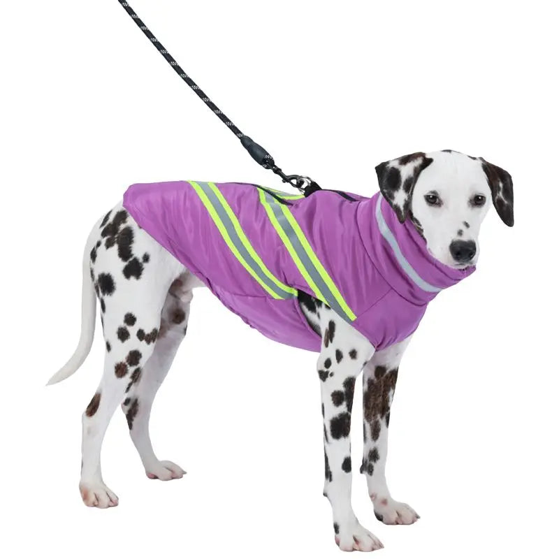 Vattentät & Varm Hundjacka med Reflex – För Små till Stora Hundar i Vinterväder