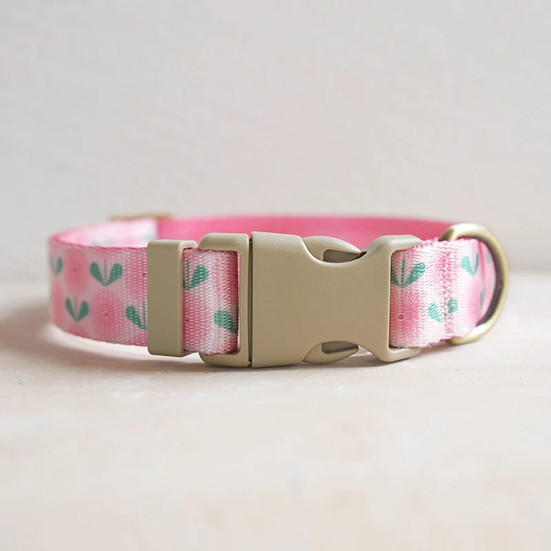 Hundhalsband i Nylon – Justerbart och Slitstarkt