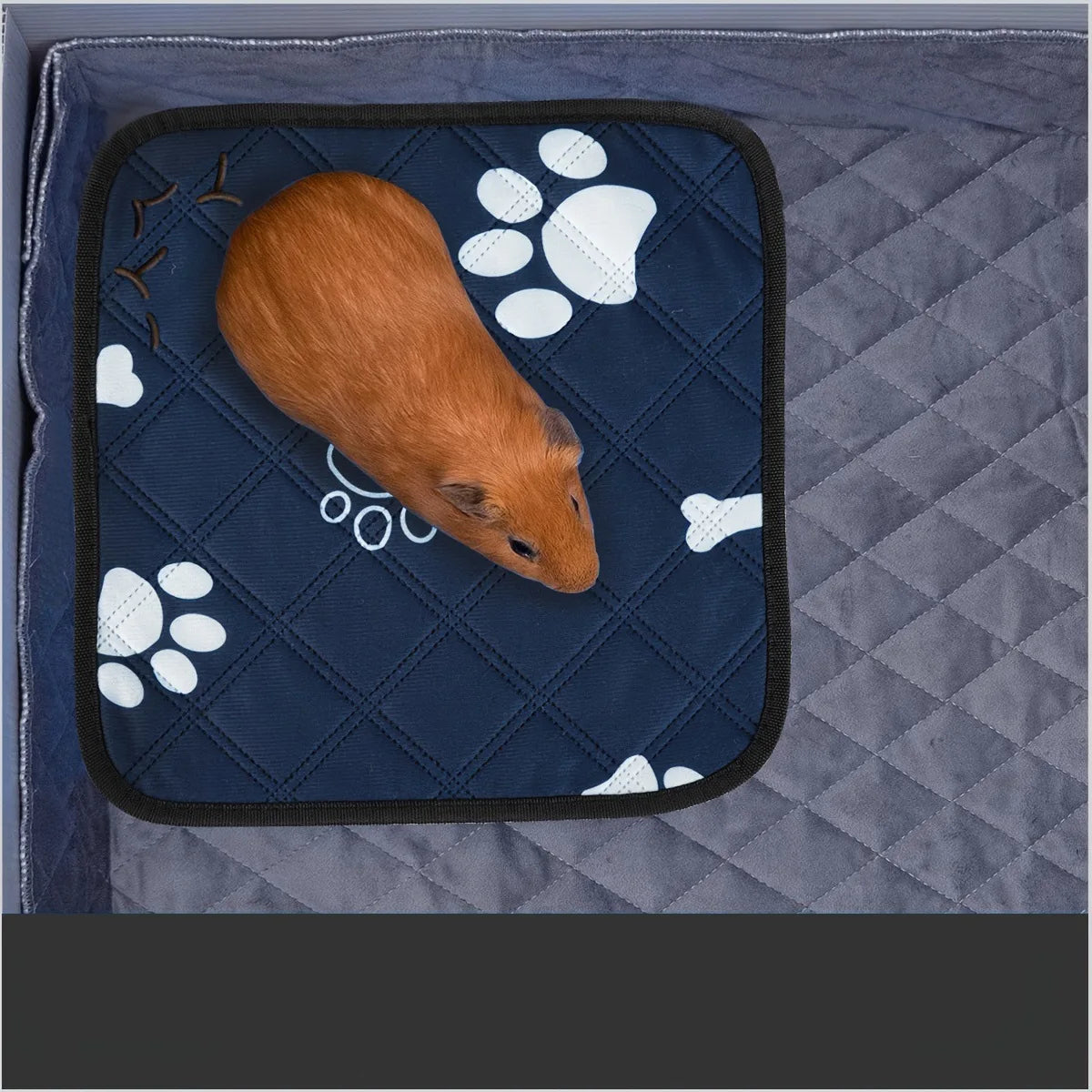 Tvättbar Mindre Kissmatta för Smådjur