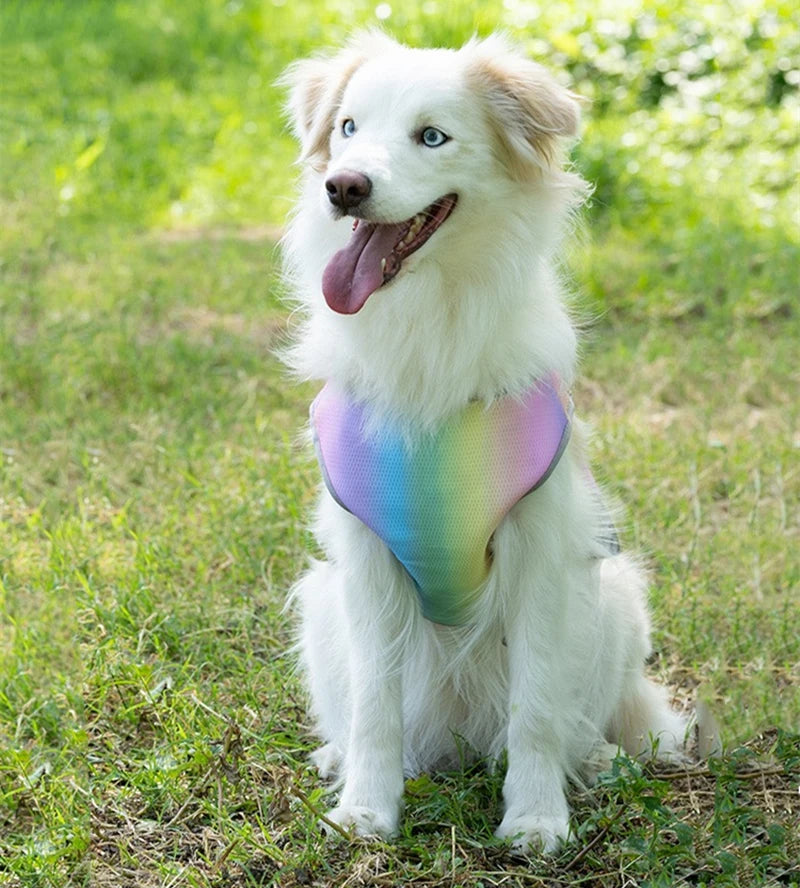sommarväst snabb kyla hund regnbågsfärgad andningsbar väst