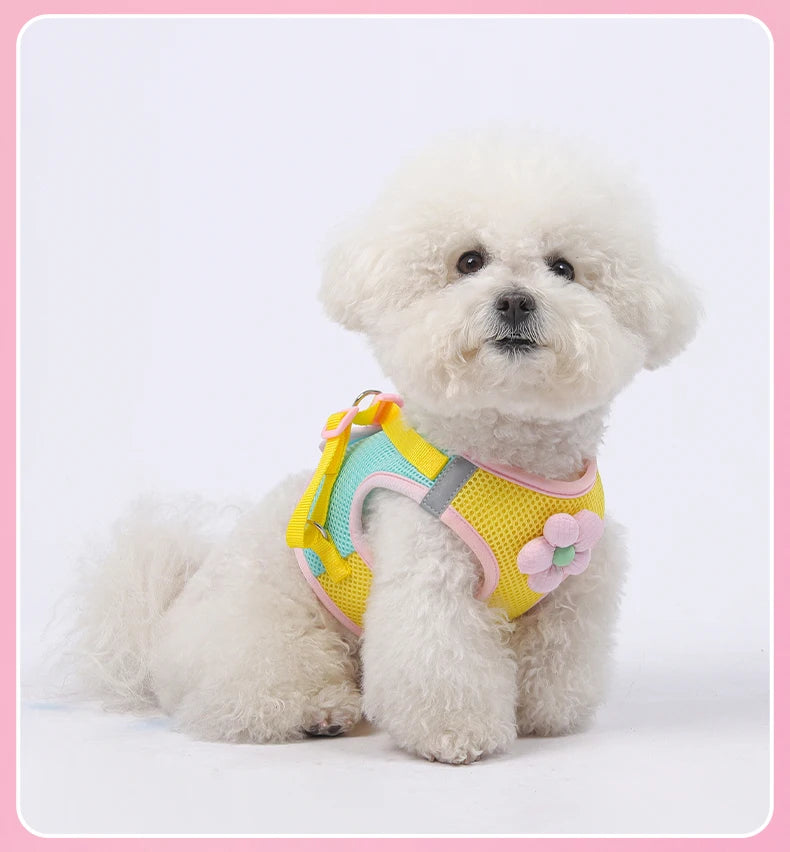 Andasvänlig Hund- och Kattssele med Reflex – Justerbar Meshväst med Koppel för Små och Medelstora Djur