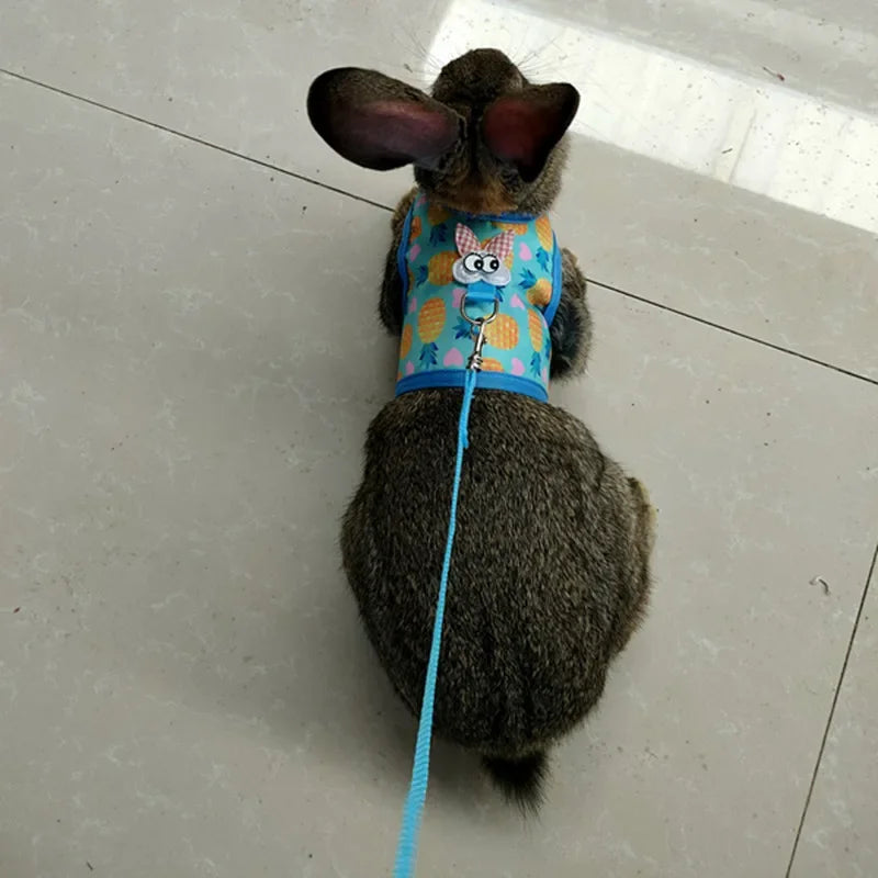 Sele och Koppel för Smådjur – Bekvämt och Justerbart Set