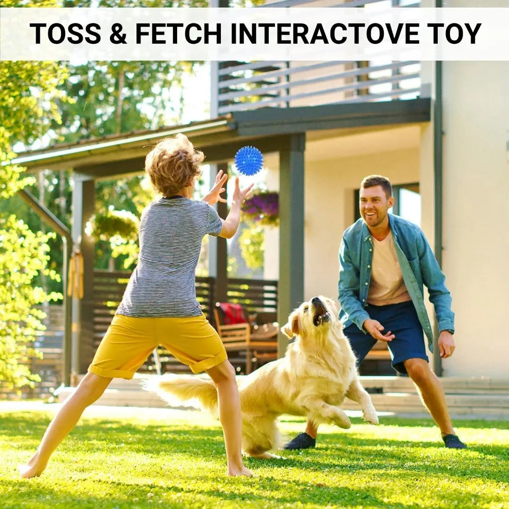 tuggleksak hund färgglad boll ljud tandrensning