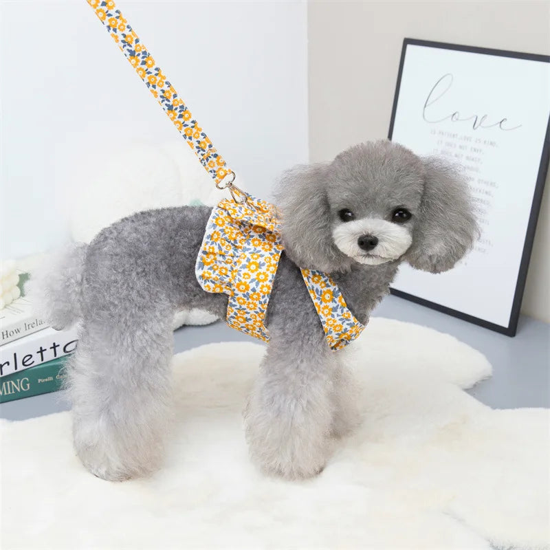 Sommarklänning för Hund och Katt med Sele och Matchande Koppel