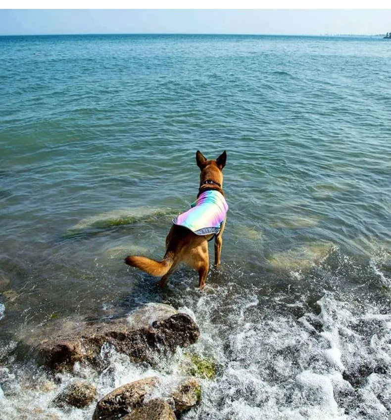 sommarväst snabb kyla hund regnbågsfärgad andningsbar väst