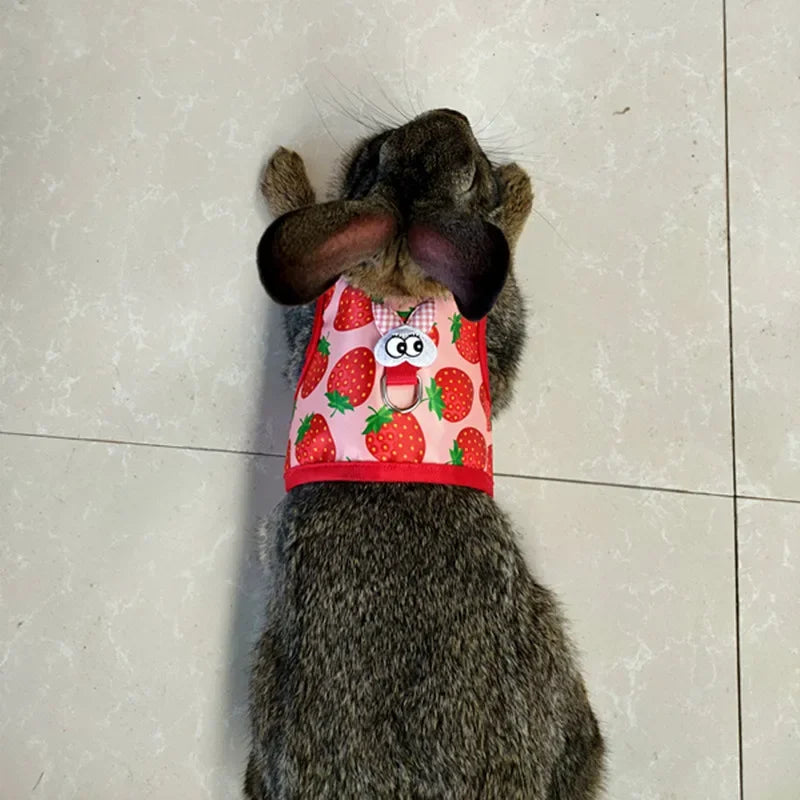 Sele och Koppel för Smådjur – Bekvämt och Justerbart Set