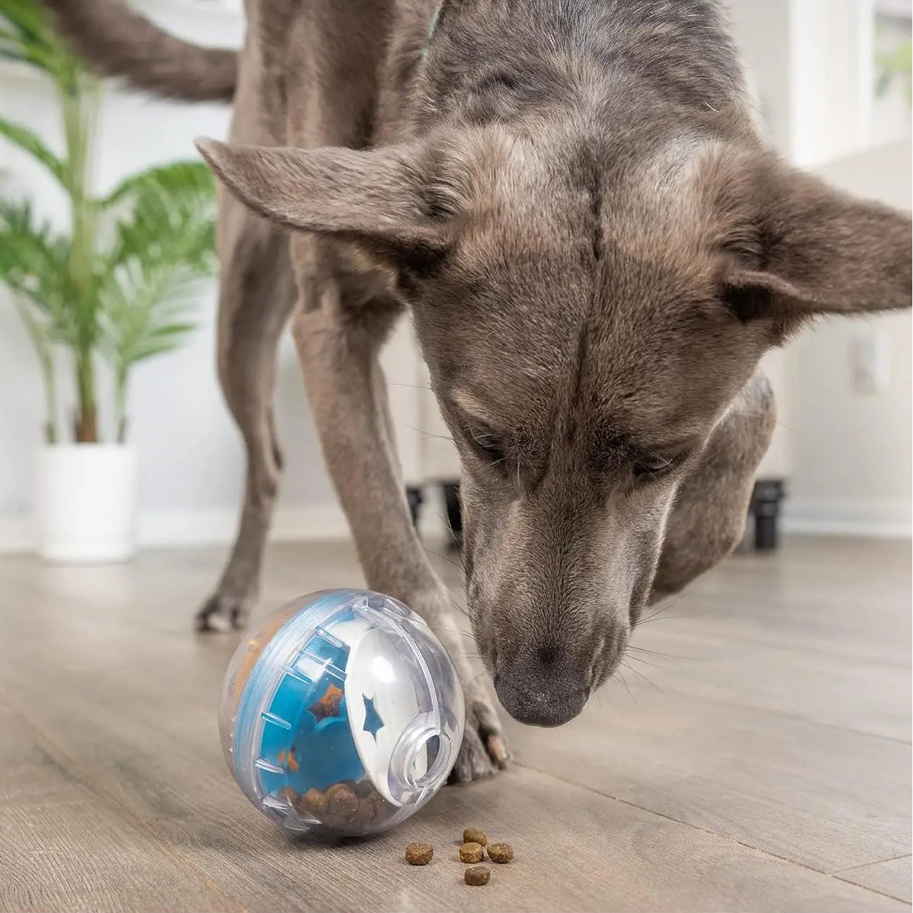 IQ-Godisboll för Hundar – Aktiverande Leksak med Slow Feeding-Effekt