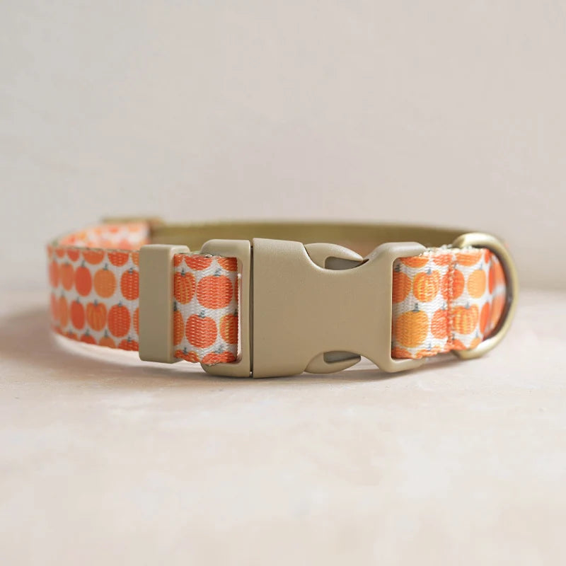 Hundhalsband i Nylon – Justerbart och Slitstarkt