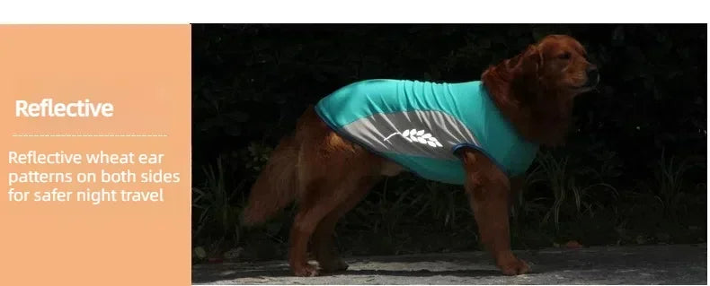 Sommarkylväst för Hund med Reflex och Snabbtorkande Tyg